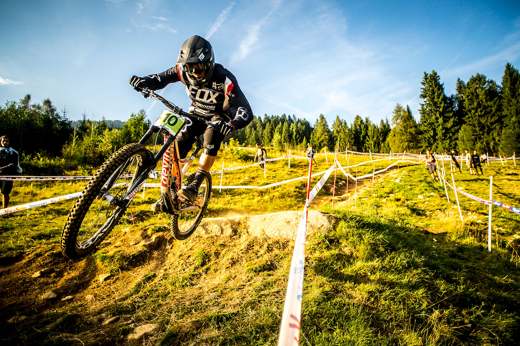 mtb suspension service